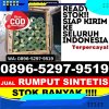 Gudang Rumput Palsu Babakan.jpg