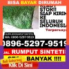 Penjual Rumput Imitasi Galis.jpg