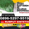 Agen Rumput Plastik Gumuk Mas.jpg