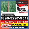 Jual Rumput Plastik Kota Jakarta Selatan.jpg