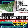 Penjual Rumput Imitasi Gayamsari.jpg