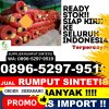 Distributor Rumput Sintetis Pandrah.jpg