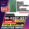 Agen Rumput Imitasi Labuhan Haji.jpg