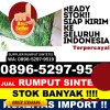 Grosir Rumput Sintetis Gudo.jpg