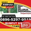 Jual Rumput Imitasi Mrebet.jpg