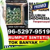 Gudang Rumput Palsu Balocci.jpg