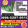 Penjual Rumput Imitasi Geureudong Pase.jpg