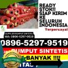 Distributor Rumput Sintetis Panji.jpg