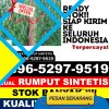 Agen Rumput Imitasi Langkapura.jpg