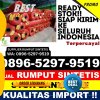 Distributor Rumput Sintetis Pariaman Tengah.jpg