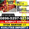 Penjual Rumput Sintetis Selaawi.jpg