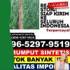 Jual Rumput Imitasi Nainggolan.jpg