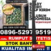 Gudang Rumput Palsu Banjarmasin Barat.jpg