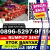 Distributor Rumput Sintetis Pasimassunggu.jpg