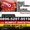 Penjual Rumput Sintetis Semboja.jpg