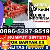 Jual Rumput Imitasi Ngambur.jpg