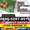 Agen Rumput Plastik Jangkang.jpg