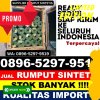 Gudang Rumput Palsu Banyumanik.jpg