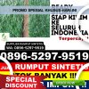 Grosir Rumput Palsu Kuta Panjang.jpg