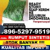 Penjual Rumput Imitasi Harjamukti.jpg