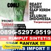 Grosir Rumput Sintetis Jambon.jpg