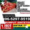 Jual Rumput Imitasi Nipah Panjang.jpg