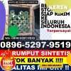 Distributor Rumput Imitasi Abung Surakarta.jpg