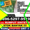 Agen Rumput Plastik Jawa Maraja Bah Jambi.jpg