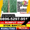 Grosir Rumput Palsu Lahewa.jpg