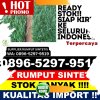 Agen Rumput Imitasi Luak.jpg