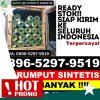 Distributor Rumput Imitasi Ajung.jpg