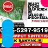 Agen Rumput Plastik Jeumpa.jpg