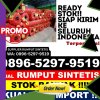 Distributor Rumput Sintetis Pengasih.jpg