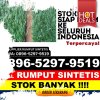 Agen Rumput Imitasi Lunang.jpg