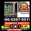 Distributor Rumput Imitasi Angkinang.jpg