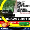 Penjual Rumput Imitasi Jatinunggal.jpg