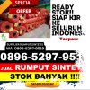 Distributor Rumput Sintetis Peulimbang.jpg