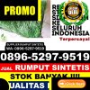 Penjual Rumput Imitasi Jempang.jpg