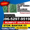 Jual Rumput Plastik Lembah Gumanti.jpg