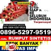 Distributor Rumput Sintetis Plered.jpg