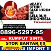 Penjual Rumput Sintetis Sinar Peninjauan.jpg