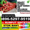 Jual Rumput Imitasi Pamanukan.jpg