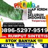 Agen Rumput Plastik Kabupaten Gunung Mas.jpg