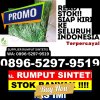 Penjual Rumput Imitasi Jumantono.jpg