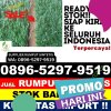 Jual Rumput Plastik Lili Riaja.jpg