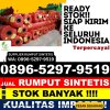 Jual Rumput Imitasi Pandak.jpg