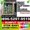 Distributor Rumput Imitasi Baleendah.jpg