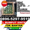 Gudang Rumput Palsu Birem Bayeun.jpg