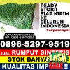 Penjual Rumput Imitasi Kabupaten Bantul.jpg