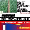 Agen Rumput Imitasi Mario Riawa.jpg